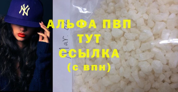спиды Новокубанск