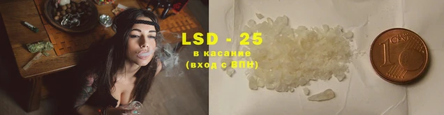 спиды Новокубанск