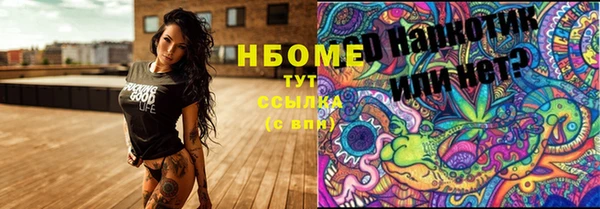 сатива Вязники