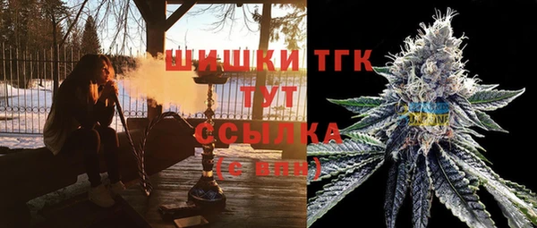 сатива Вязники