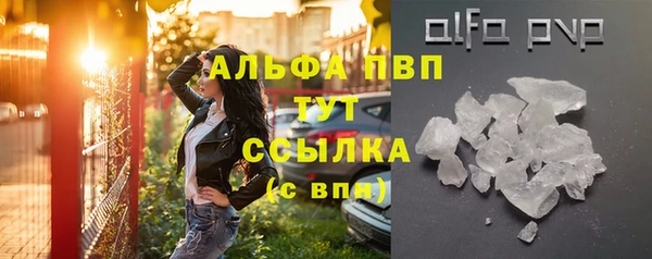 спиды Новокубанск