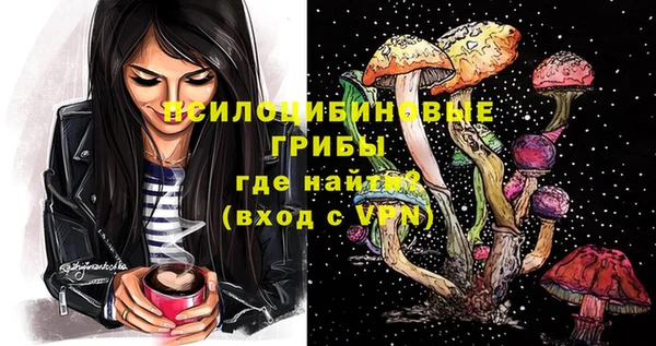 спиды Новокубанск